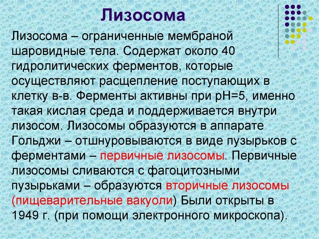 Ферменты активные в кислой среде. Сферическая мембранная структура содержащая дыхательные ферменты. Лизосома. Гидролитические ферменты лизосом.