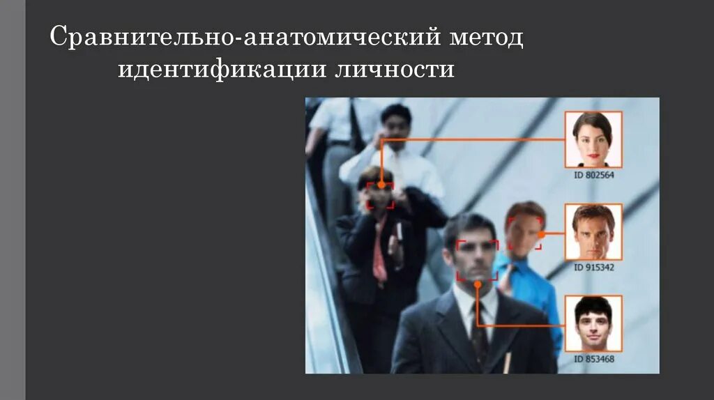 Средства идентификации личности. Идентификация личности презентация. отождествление личности метод. сравнительно анатомический метод.