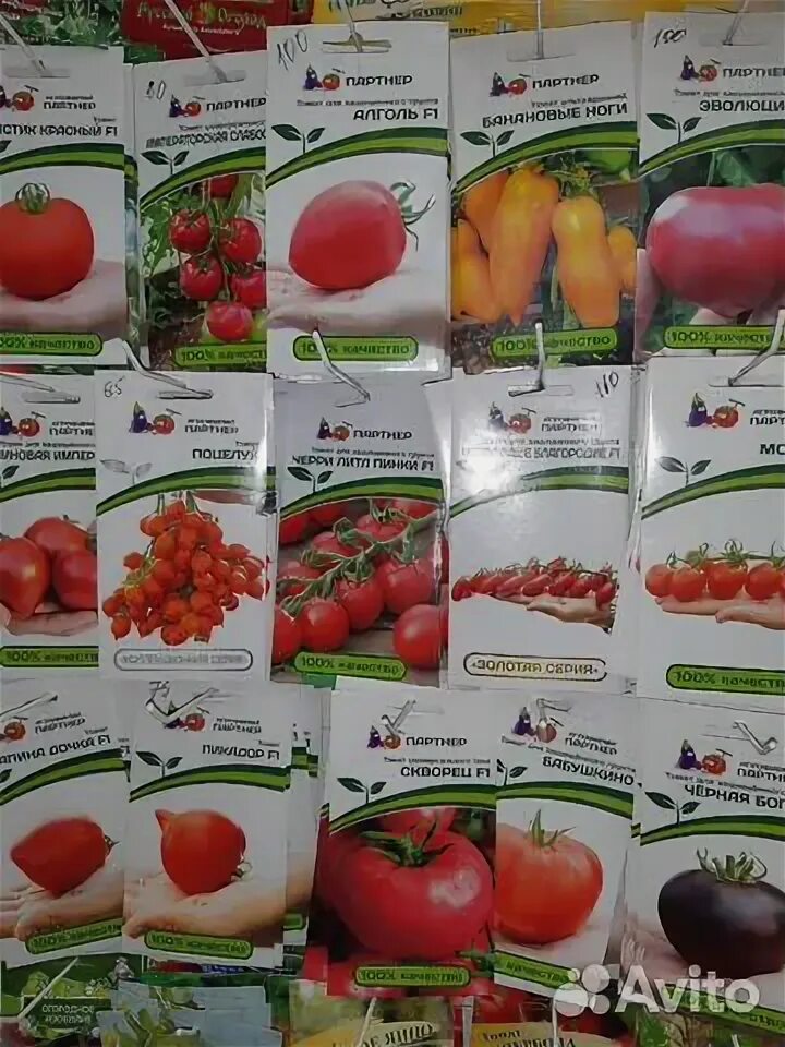 Рассада фирмы партнер. Томат верочка f1 ц. Фирма партнер. П. Партнер томат пролетарочка f1.
