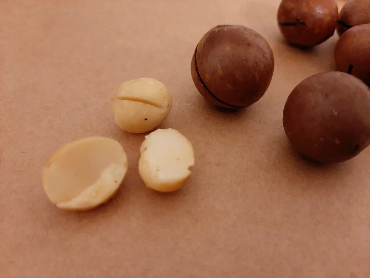 что такое померанцевые орешки. померанец, бигардия, горький апельсин. урожай орехов фундук. померанец, бигардия, горький апельсин. померанцевый орех фото.