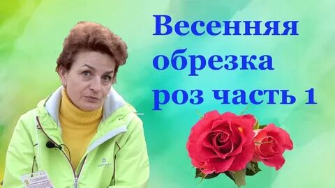Клуб наталии петренко