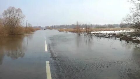 Белые берега разлив