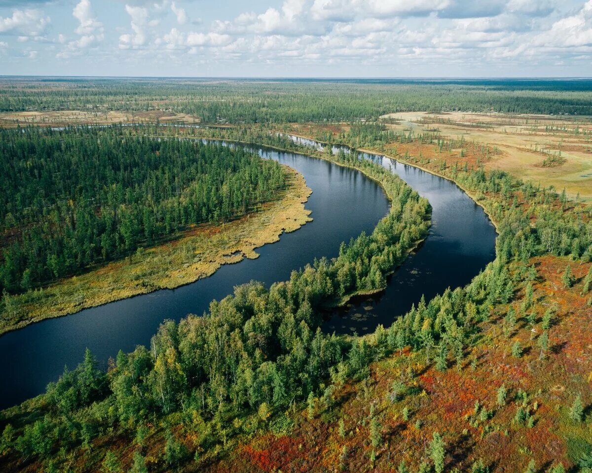 Западно сибирская равнина реки озера города