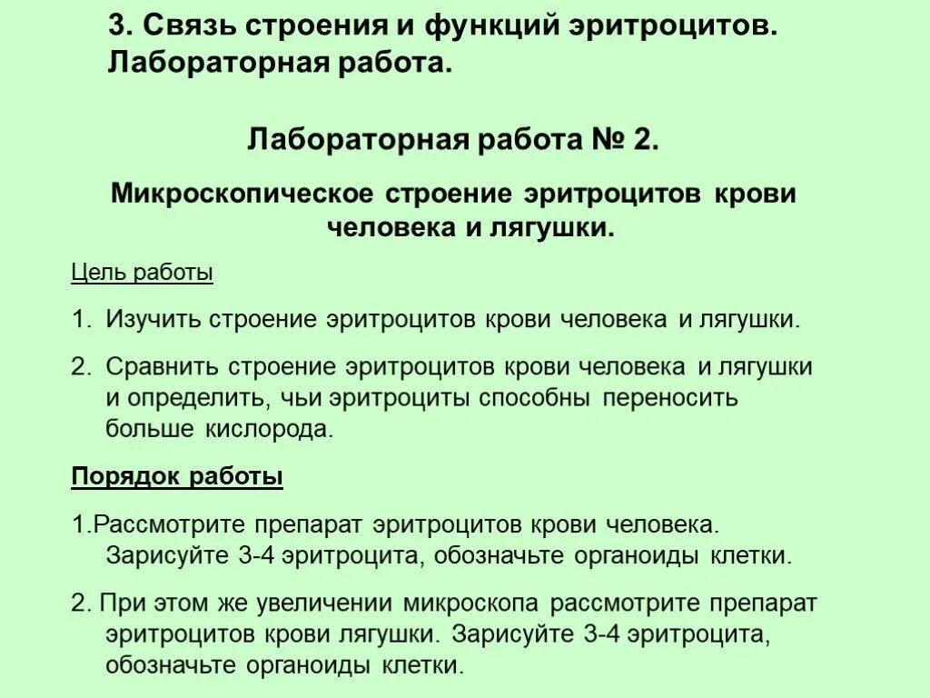 Связь структуры и функции