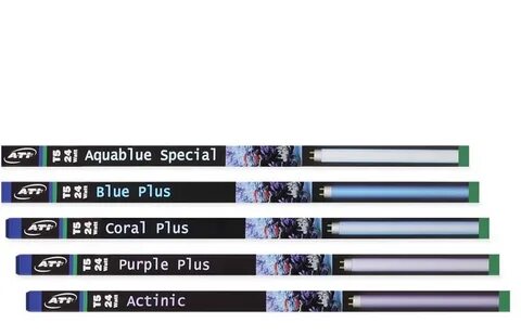 Purple plus