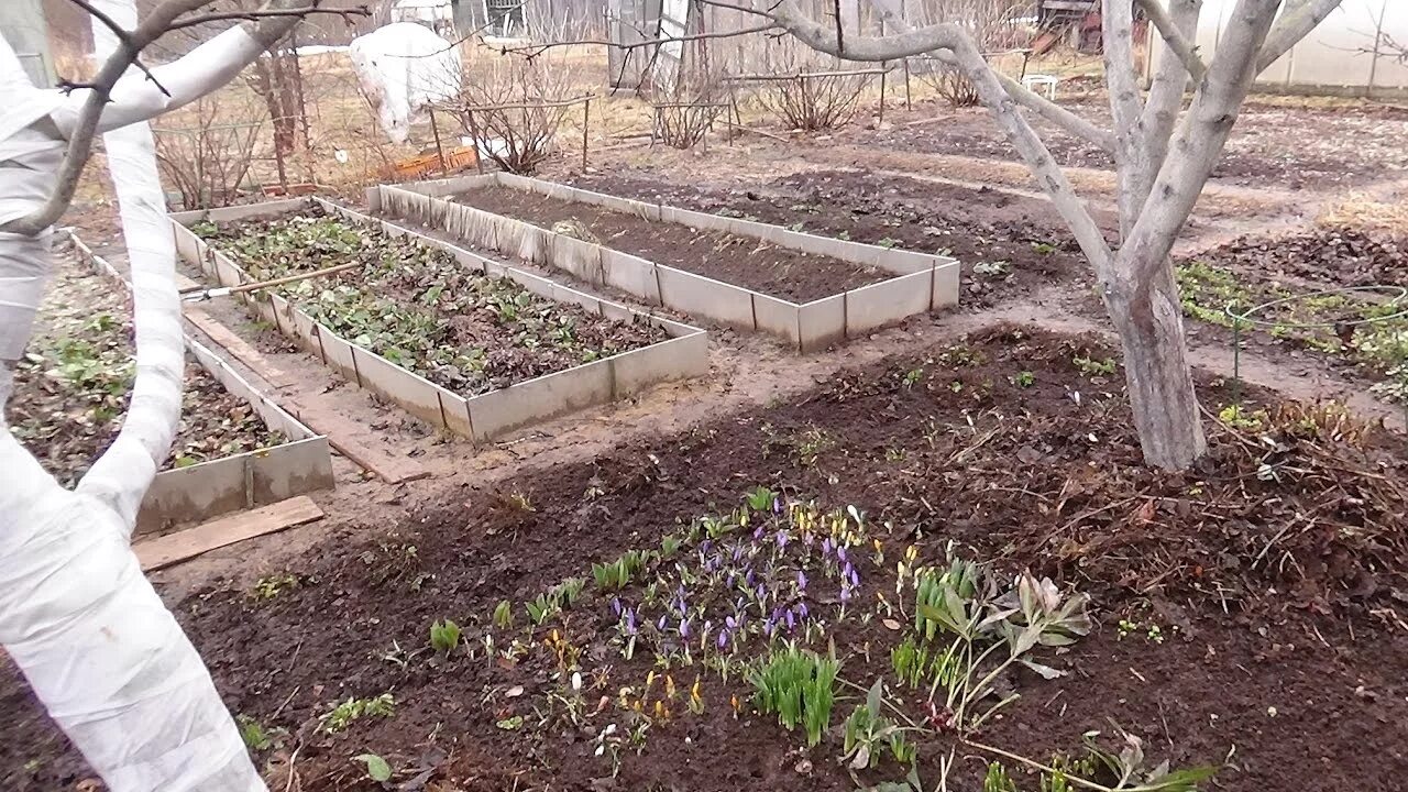 Огород весной. Огород ранней весной. Работы в саду весной. Весенние работы на даче. Какие работы проводить в саду в апреле
