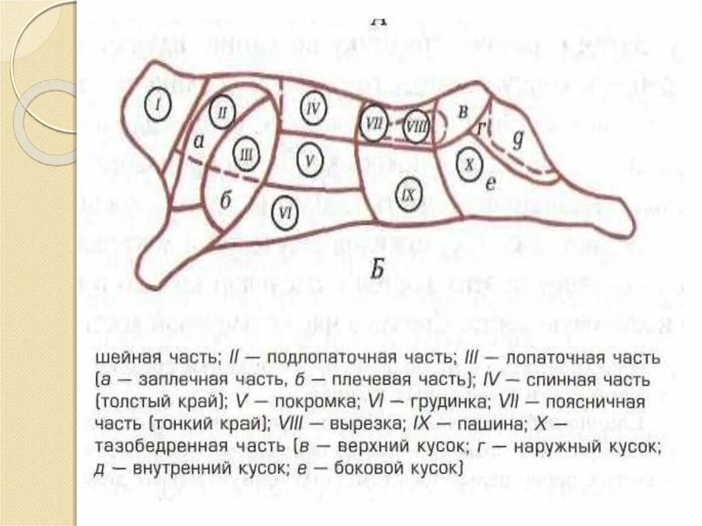 Верхний тонкий край. Кулинарная разделка говяжьей туши схема. Схема и последовательность разделки говяжьей полутуши. Части говяжьей полутуши схема. Схема разделки полутуши (туши).