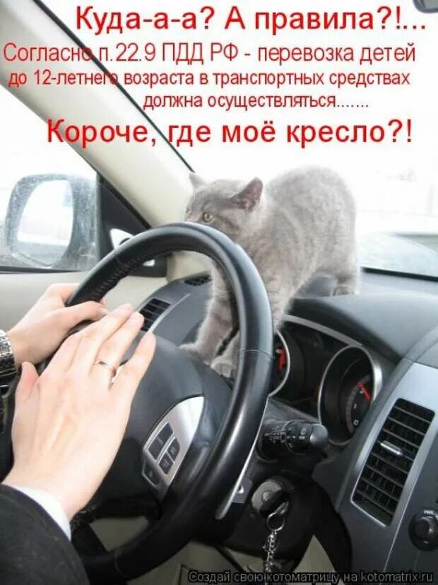 Аккуратно за рулем. Будь осторожен за рулем. Котики рулят. Будь аккуратнее ща рулём.