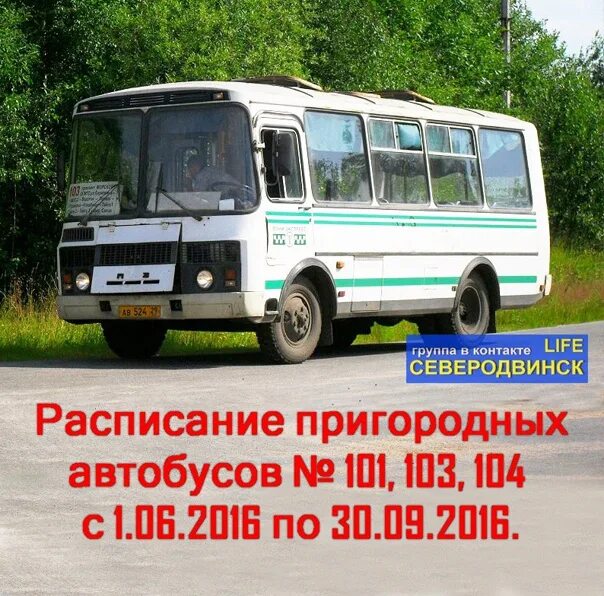Расписание автобусов кстова. Пригородный автобус. маршрутка 101. пригородные автобусы москва. кстово зелецино расписание 101 автобуса 2025.