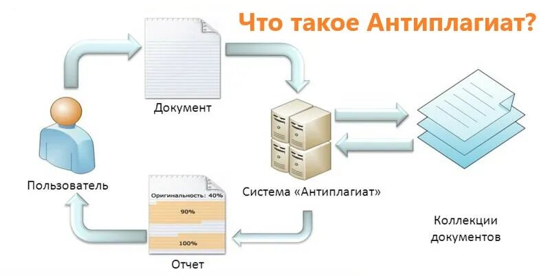 Как проходят плагиат. Антиплагиат. Антиплагиат приколы. Мемы про антиплагиат. Шутки про антиплагиат.