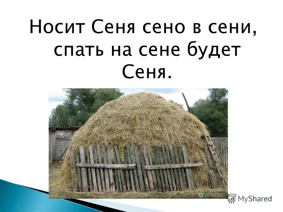 Спать на сене будет сеня. Носит Сеня в сени сено. Сено в сенях.