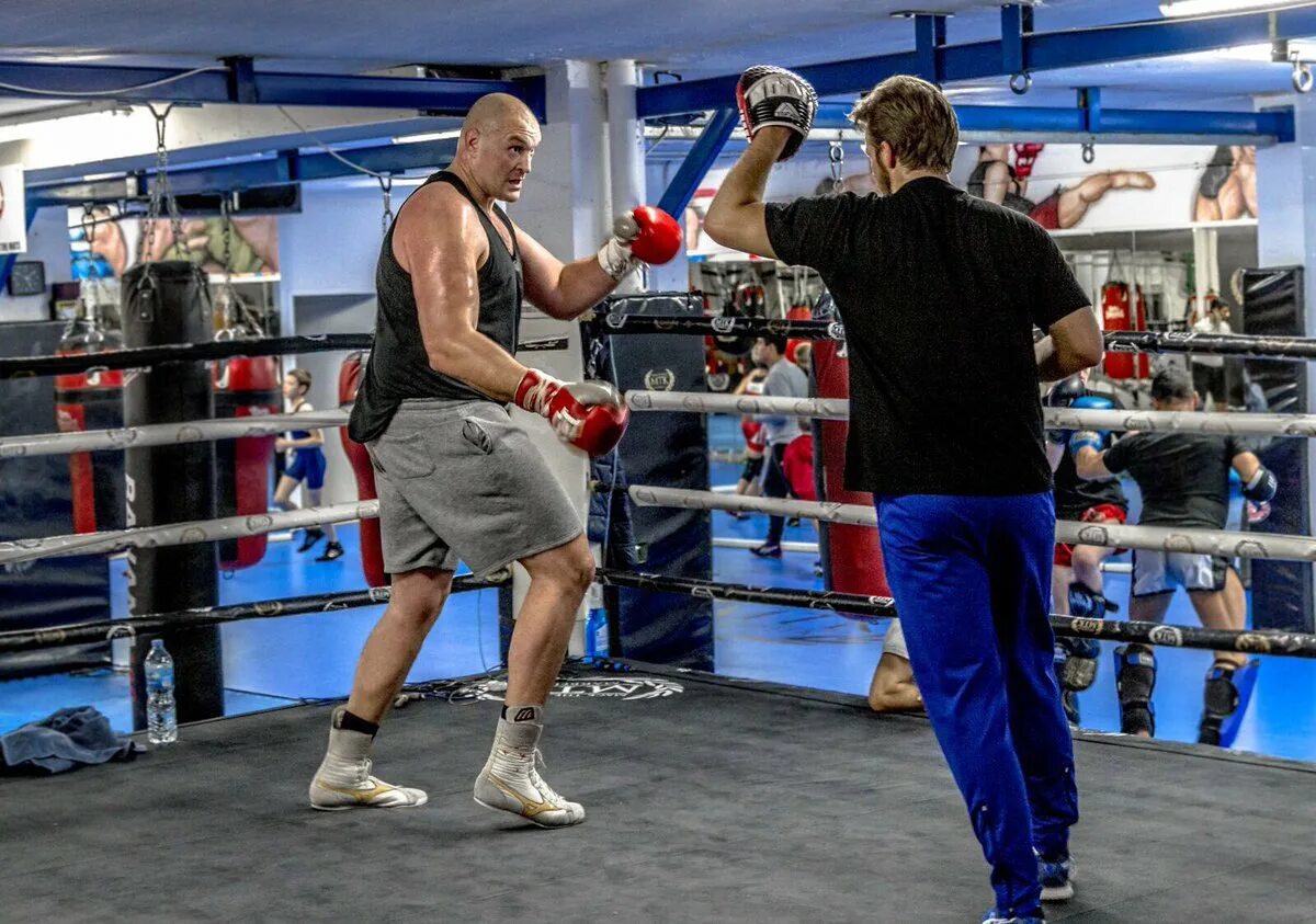 масса боксера