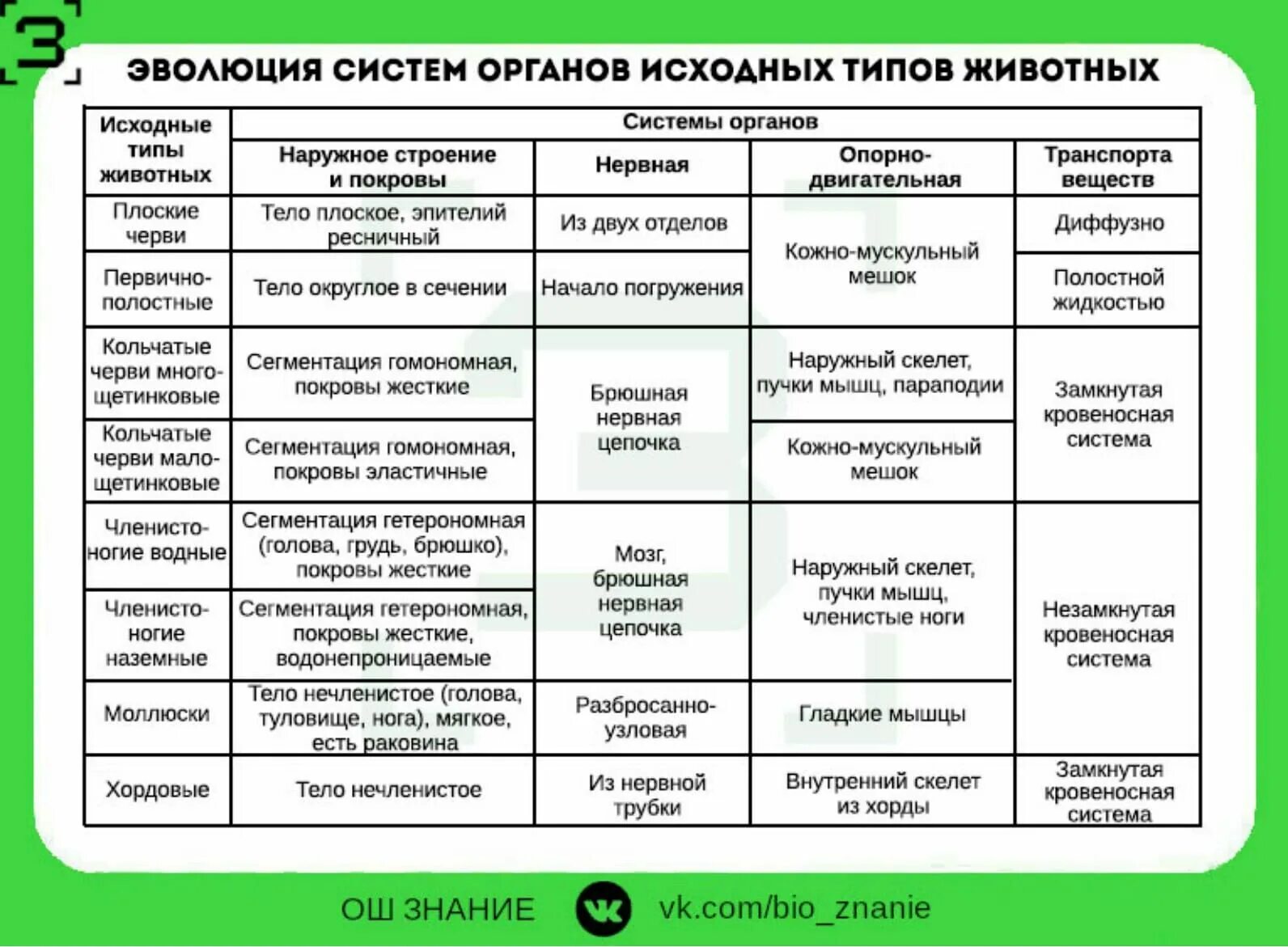 Эволюция строения органов и их систем