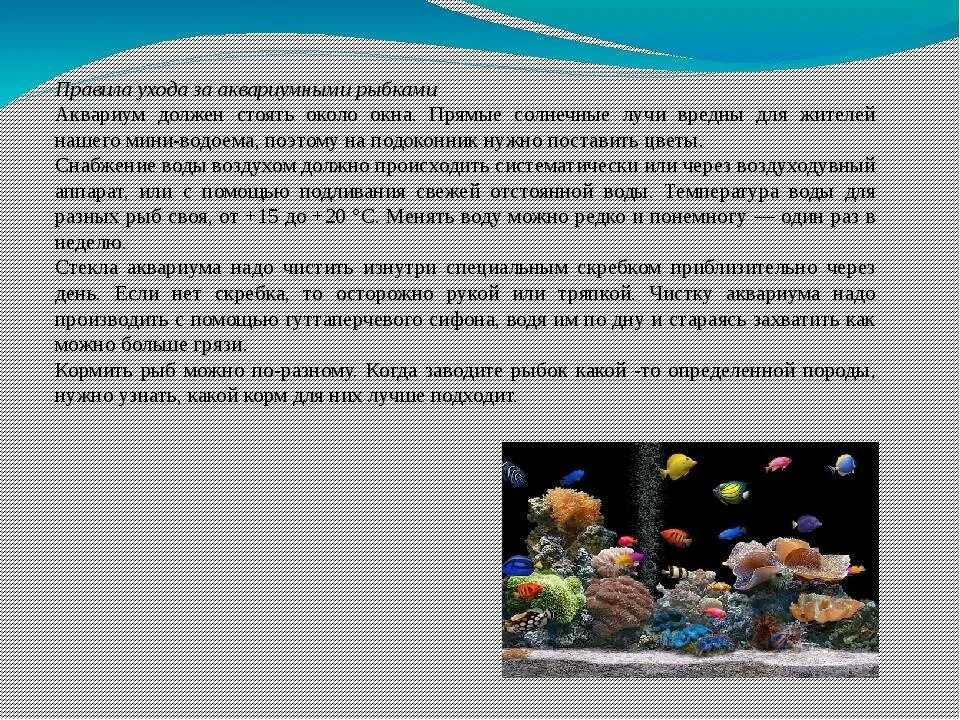 Содержание аквариумных