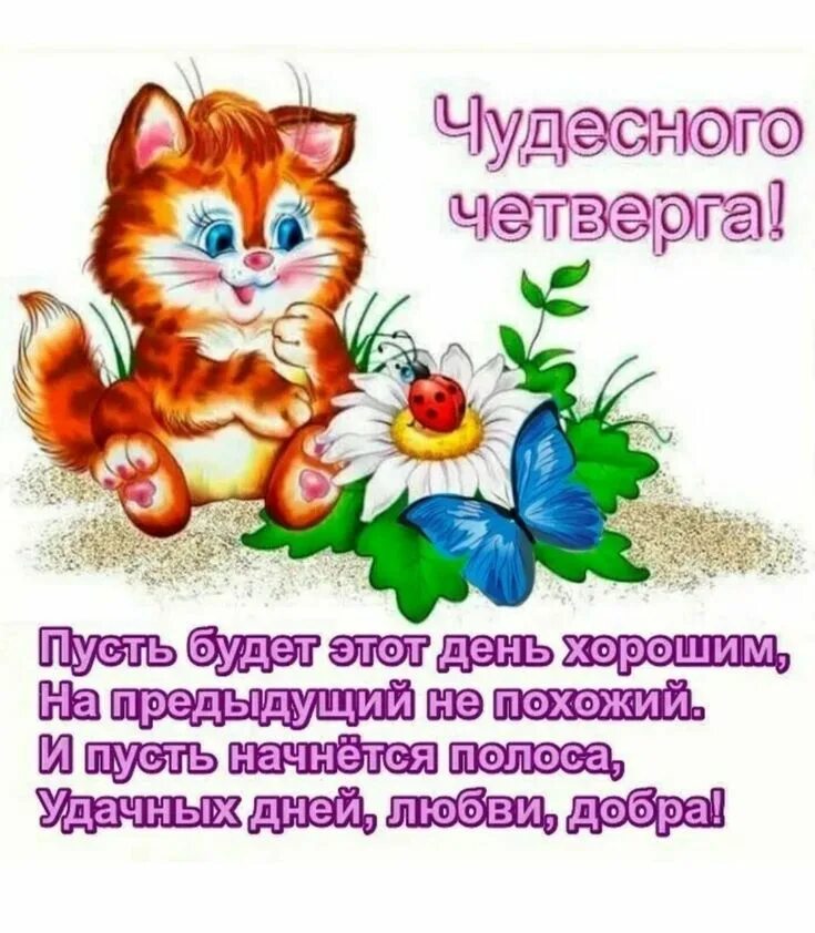 Доброе утро - "Я и ты Водолей - вместе будет веселей.", пользователь Ольга Плесо