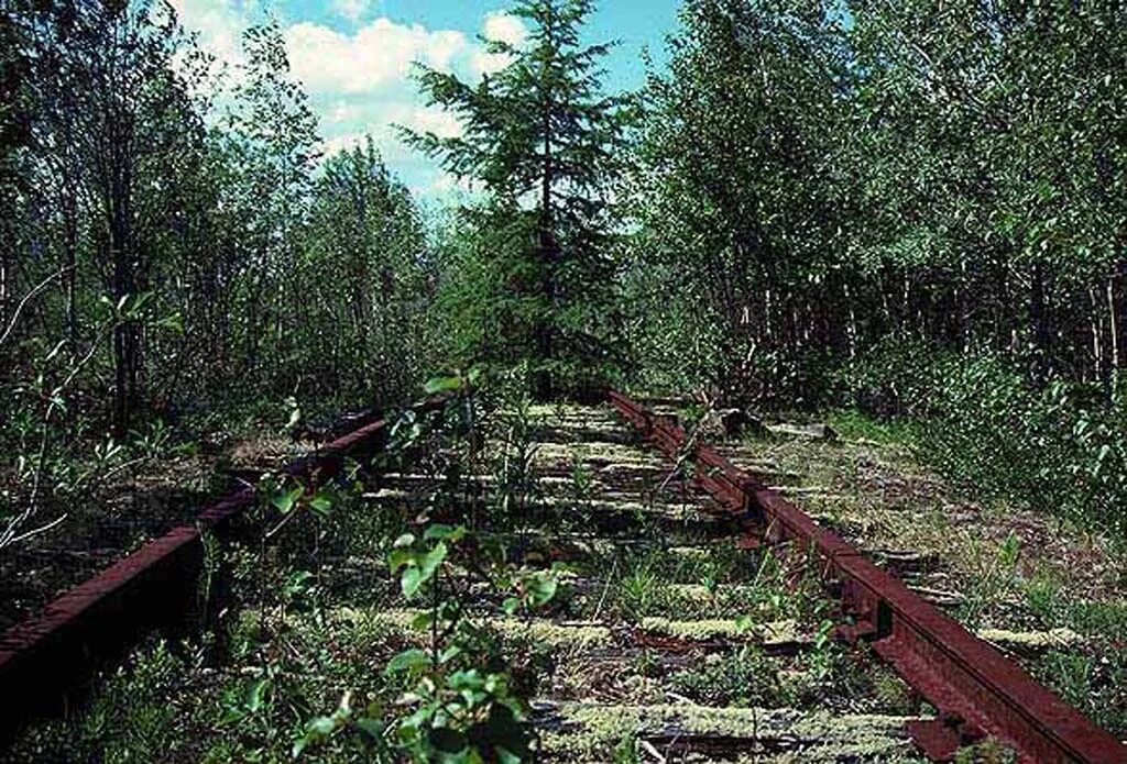 Трансполярная магистраль железная дорога. Салехард-Игарка железная дорога. Трансполярная магистраль, лагерь на строительстве № 503. 501-Я стройка железной дороги Салехард Игарка.