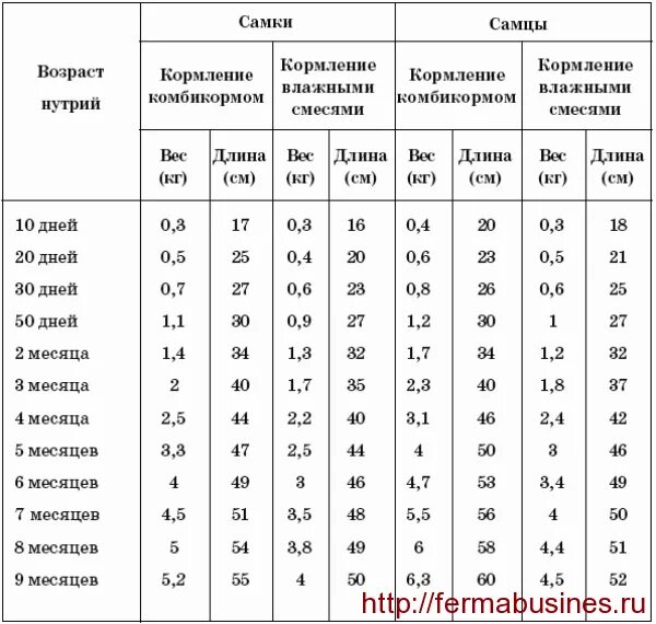 Сколько весит взрослая немецкая. Таблица привеса нутрий. Вес кроликов по месяцам разных пород таблица. Вес нутрий по месяцам таблица. Вес нутрии по возрасту.