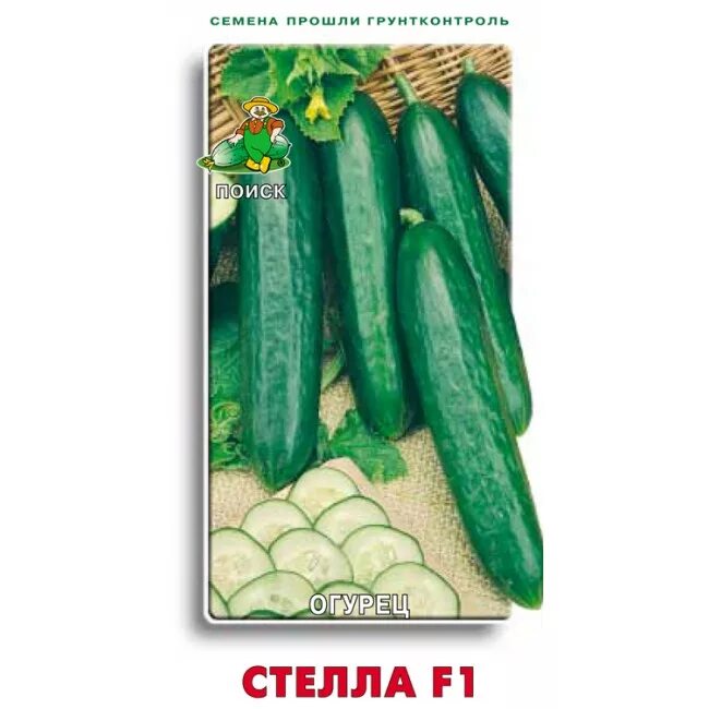 Семена огурцов цветов. Семена огурцов цветов. Огурец грин кинг. Семена огурцов засолочный. Семена огурцов цветов.