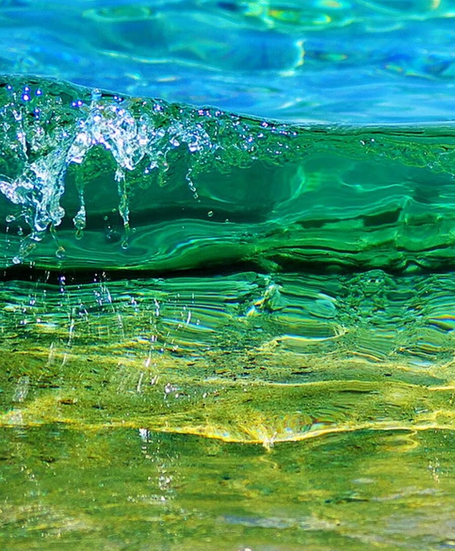 Какой цвет в воде лучше. Зеленое море. зеленая прозрачная вода. голубая прозрачная вода. бирюзовый цвет воды.