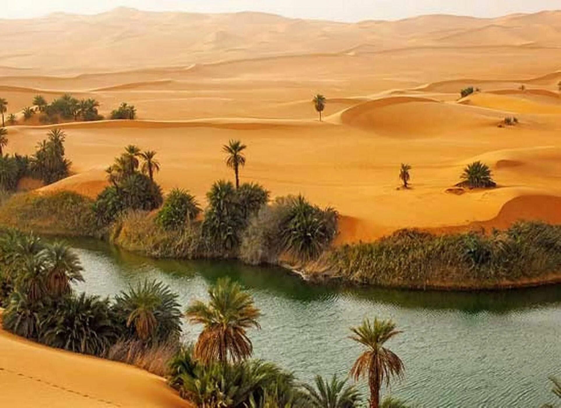 Оазис Убари в Ливии. Пустыня сахара Оазис. Оазис в пустыне Африки. Озера Убари Ливия. Растение произрастающее в оазисах юго западной азии