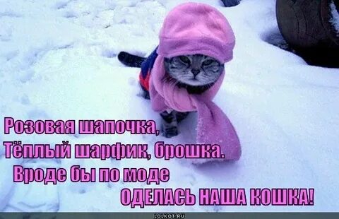 Холодно картинки смешные с надписью