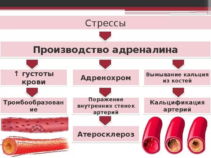 Причины кровяных