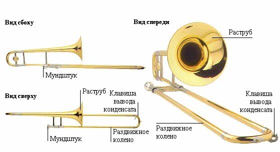 Клапан в музыкальном духовом инструменте 6 букв