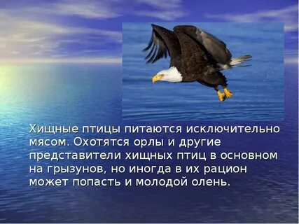 Орел текст