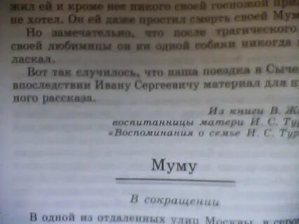 Литература 5 класс чему посвящен рассказ муму