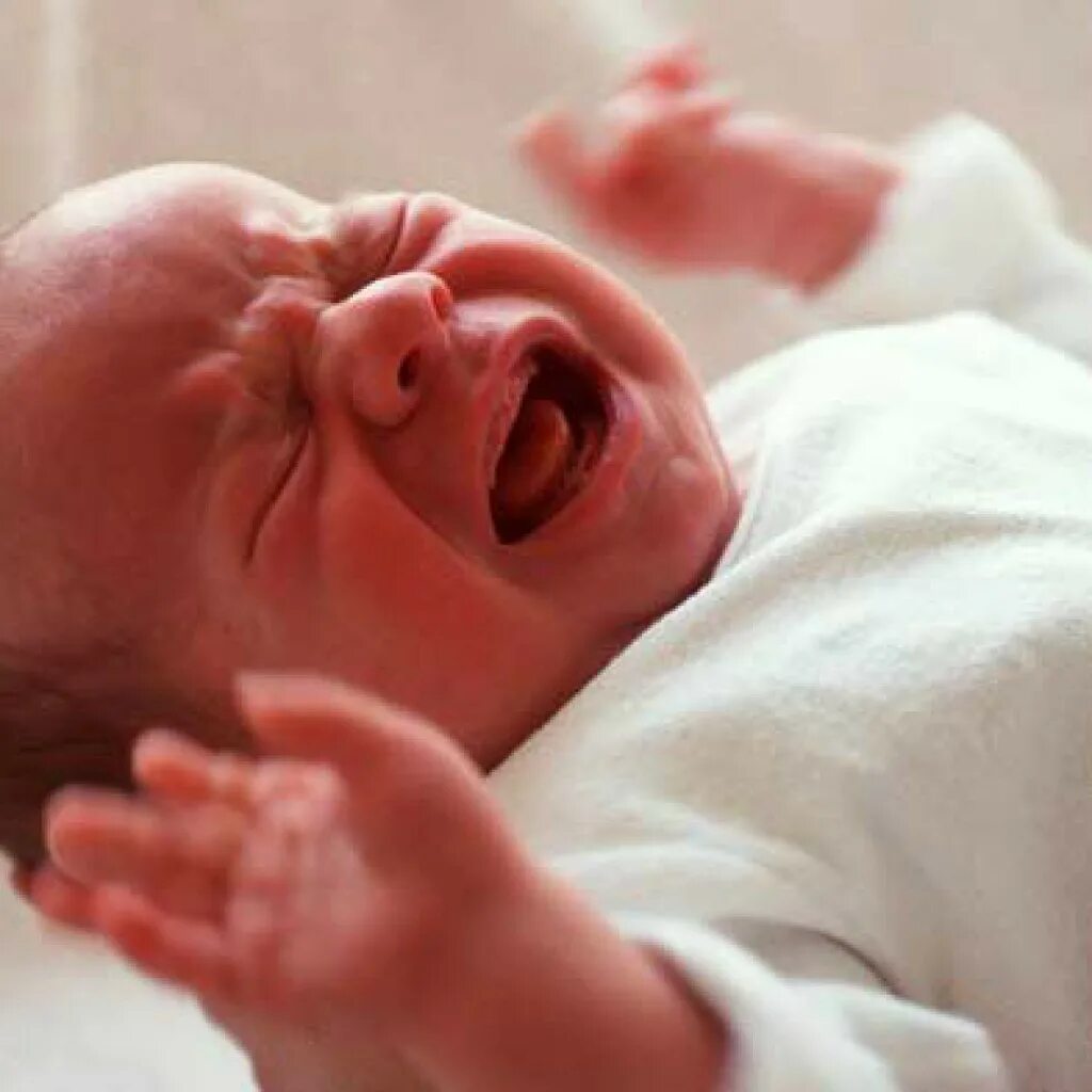 Фотосессия новорожденных постановочные. Новарождённый ребёнок. Малыши новорожденные. Новорожденные малыши в роддоме. Фото младенца.