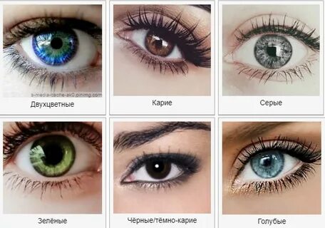 Какого цвета глаз больше всего
