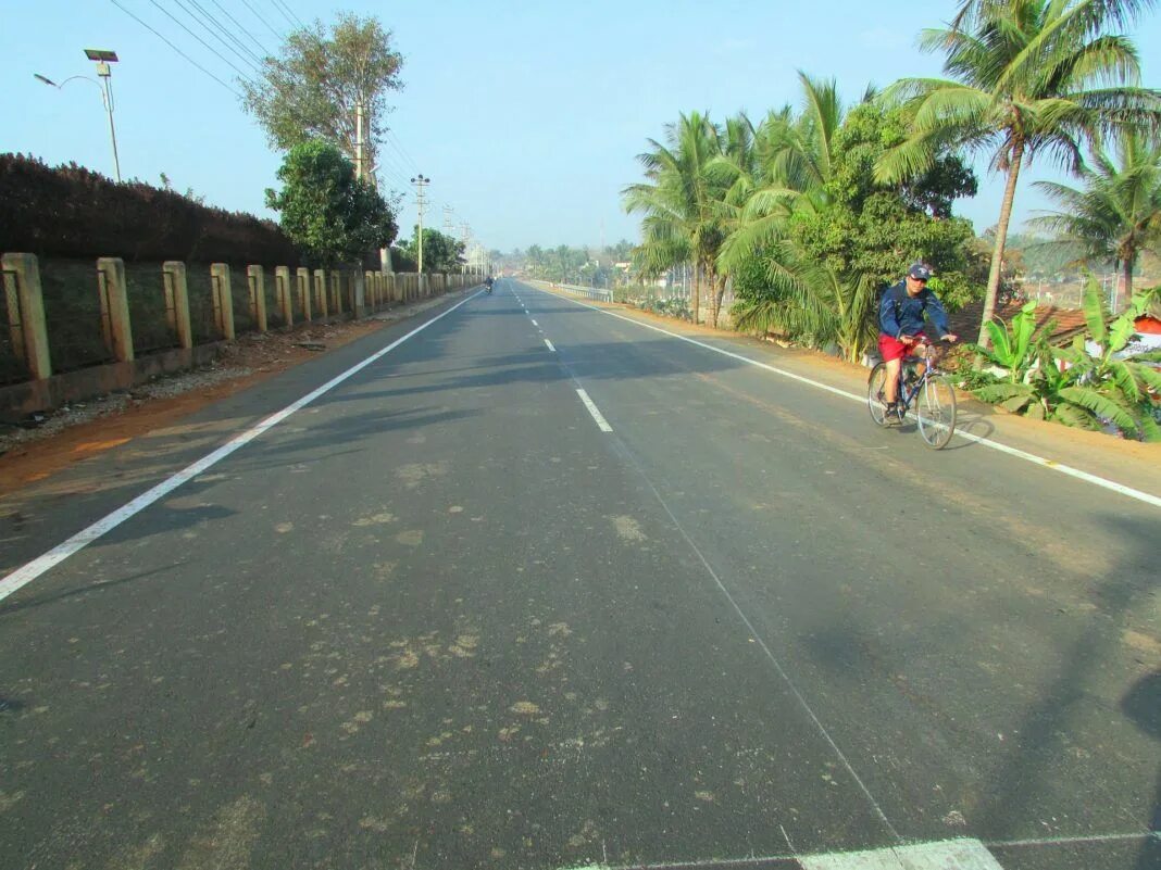 Дорога это индия. Шоссе с пальмами. Road in india. Дорога это индия. Дорога это индия.