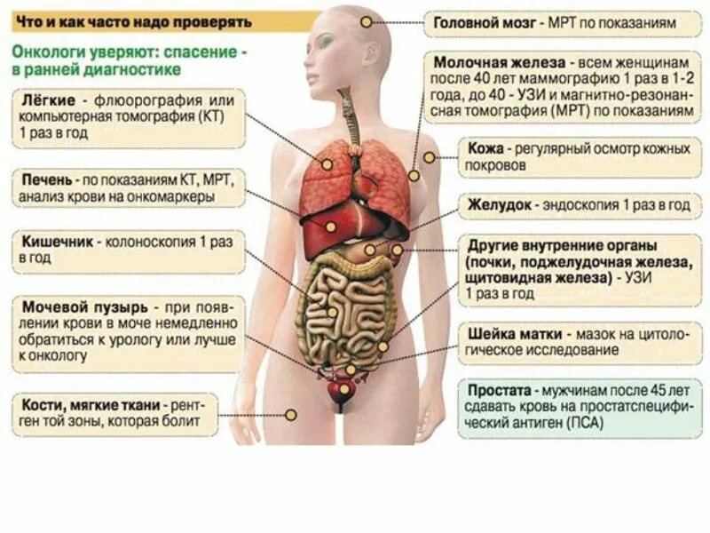 Заболевания внутренних органов. Симптомы онкологических заболеваний. Симптомы раковых заболеваний человека.