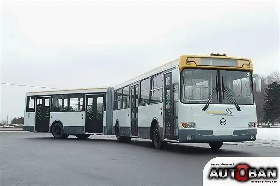 Автобусы особо большого класса