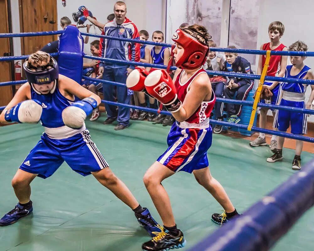 морген бокс фото. игра бокс игра бокс игра бокс. гта сан андреас бокс насколько реально. файтинг девушки. флотен сан бокс.