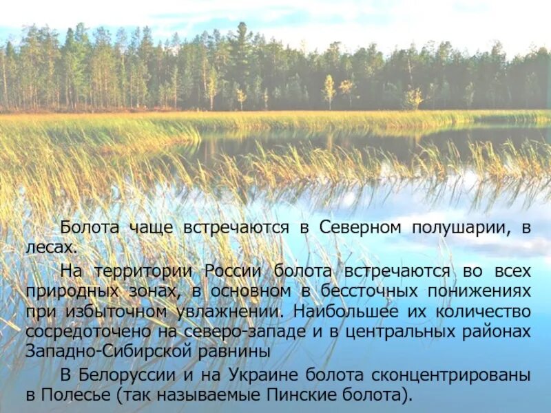 Избыточный коэффициент увлажнения. Избыточное увлажнение природная зона. Характер теплового режима тайги. Субтропический увлажнение. Избыточное увлажнение природная зона.
