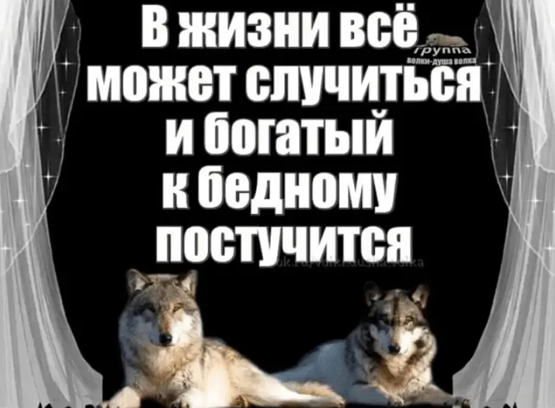 Только бедный знает свет только богатый. В жизни все может случиться и богатый к бедному постучится. И богатый к бедному постучится. Если беден не стыдись а в богатстве не гордись бедность может. Не важно богатый ты или бедный.