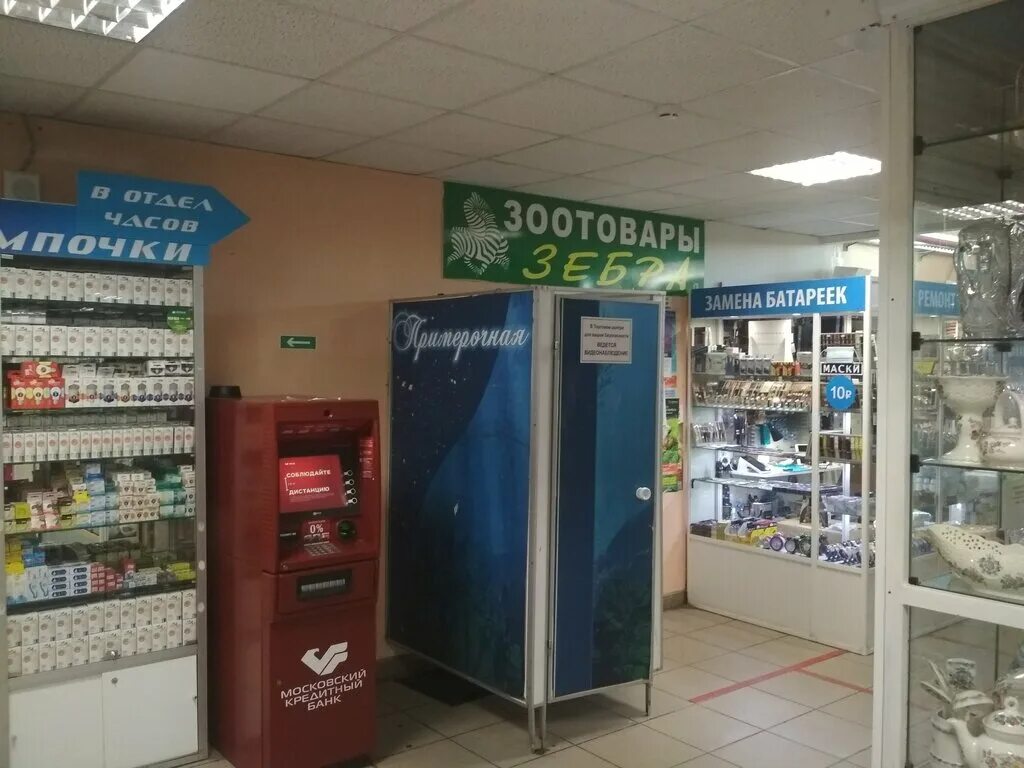 зоомагазин зебра. зоомагазин зебра. зебра зоомагазин. зоомагазин зебра жираф череповец.