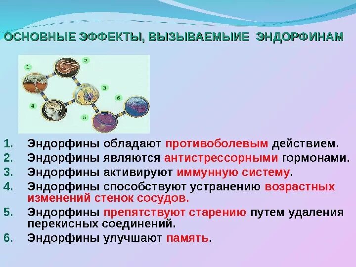 Эндорфин где. Эндорфины гормоны счастья. Эндорфины функции. Эндорфин функции гормона. Эндорфины влияние на организм.