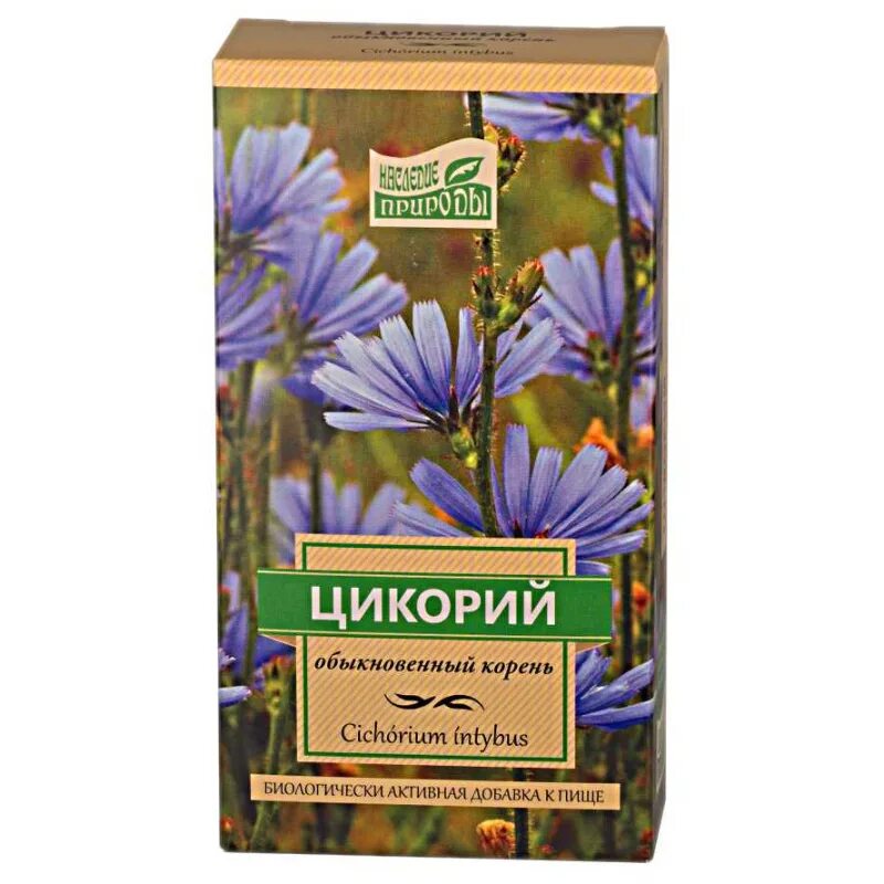 Цикорий для кишечника. Чем полезен цикорий для организма. Цикорий, трава, 50 г (хорст). Цикорий польза. Целебник цикорий 85 г.