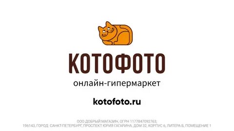 Котофото интернет магазин