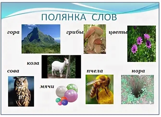 Корень в слове полянка. Поляна разбор слова по составу. Однокоренные слова к слову вода. Слово поляна. Полянка проверочное слово.