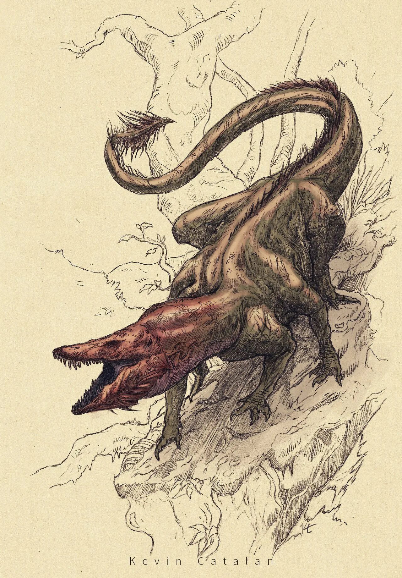 криптология мифические существа. мартин шонгауэр дракон. тони дитерлицци иллюстрации спайдервик. бестиарий существ. описание монстров лавкрафта.