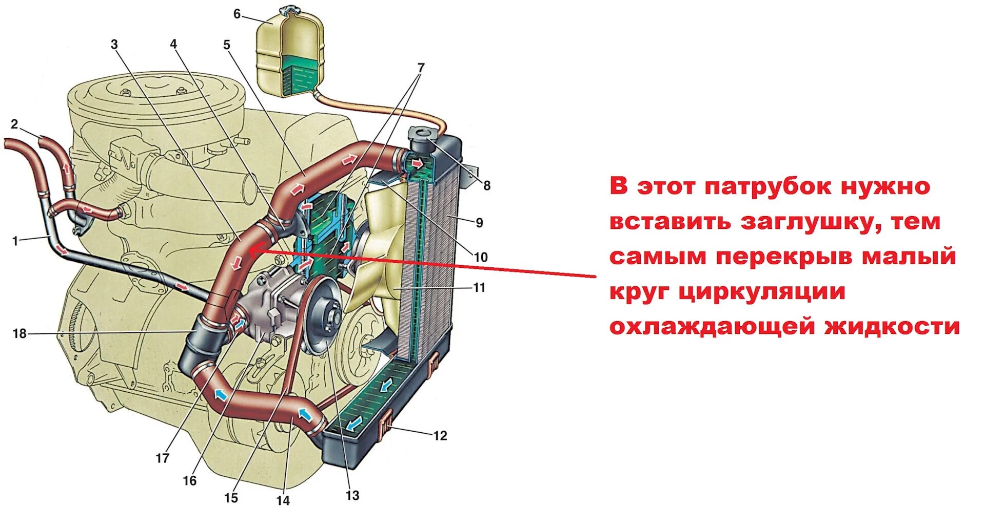 И установлен в систему охлаждения. Система циркуляции охлаждающей жидкости ВАЗ 2101. Система циркуляции охлаждающей жидкости ВАЗ 2107 карбюратор. Система циркуляции охлаждающей жидкости ВАЗ 2107. Система циркуляции охлаждающей жидкости на ВАЗ 21213.