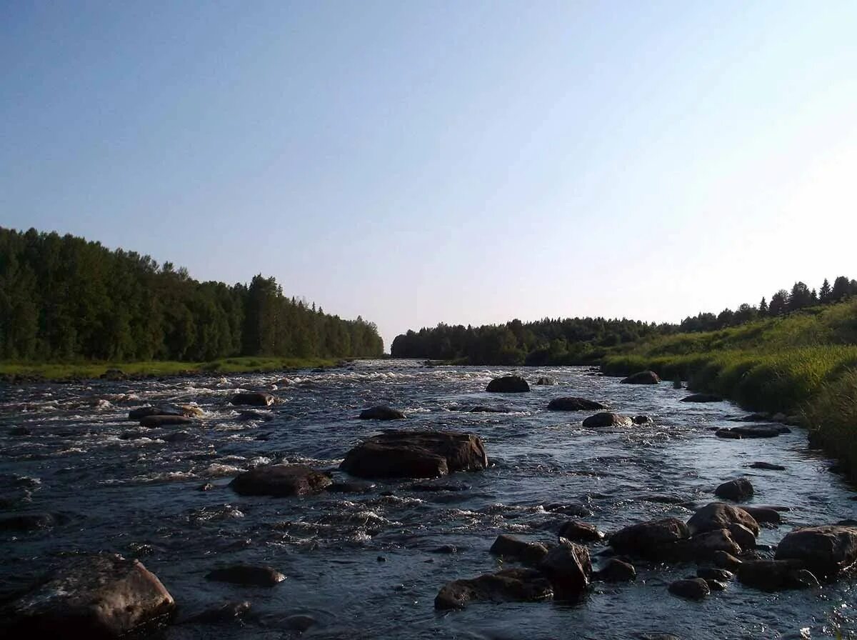 Река кереть. Пороги на реке Кереть Карелия. Река Кереть Карелия. Река Воньга Карелия. Порог морской Кереть.