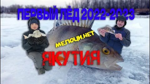 Лед 2022 2023