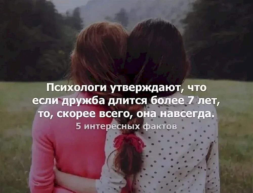 Ночь изменившая 19 лет дружбы 15 глава