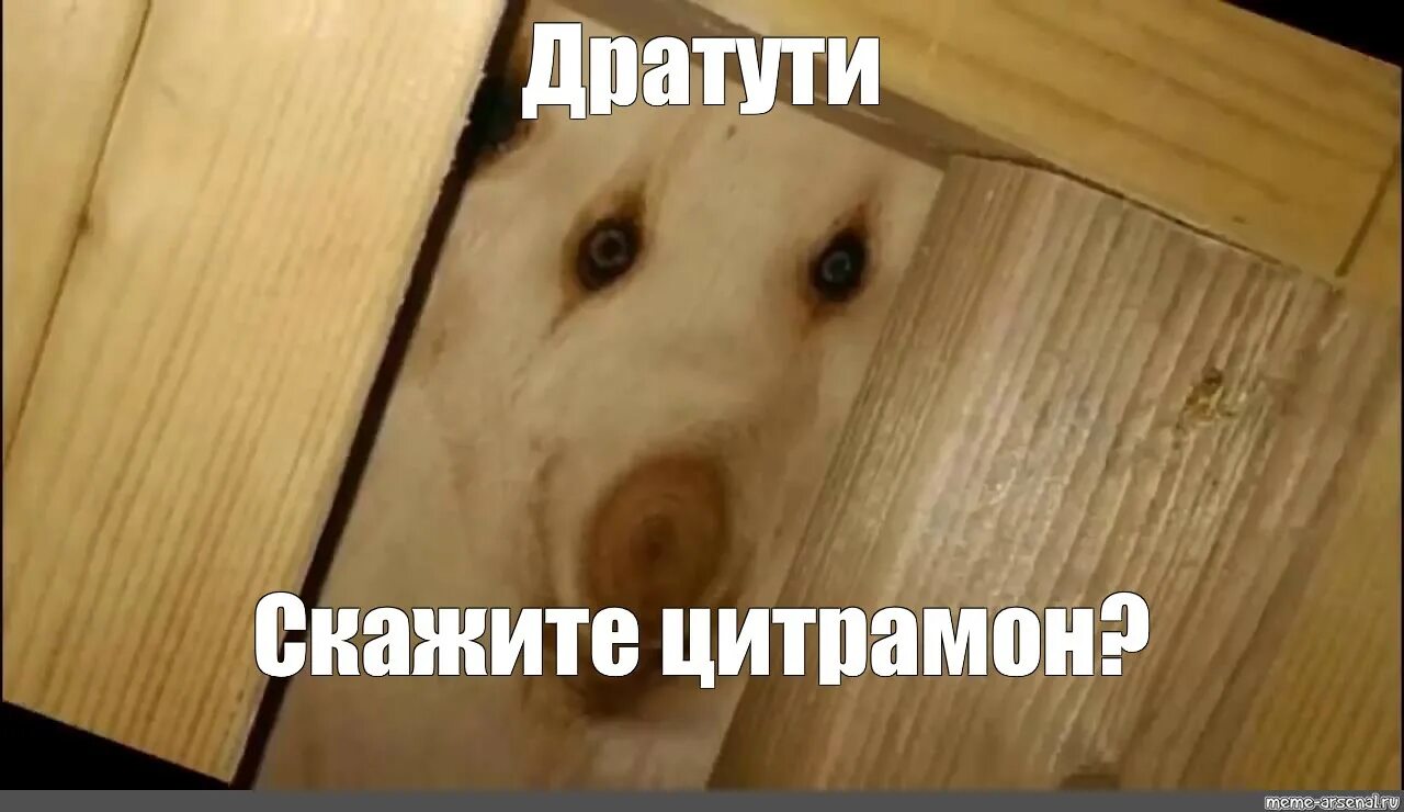 Портрет девушка на фоне деревянной стены. Лицо доска. Белый грим для лица. Собака дратути. Лицо доска.