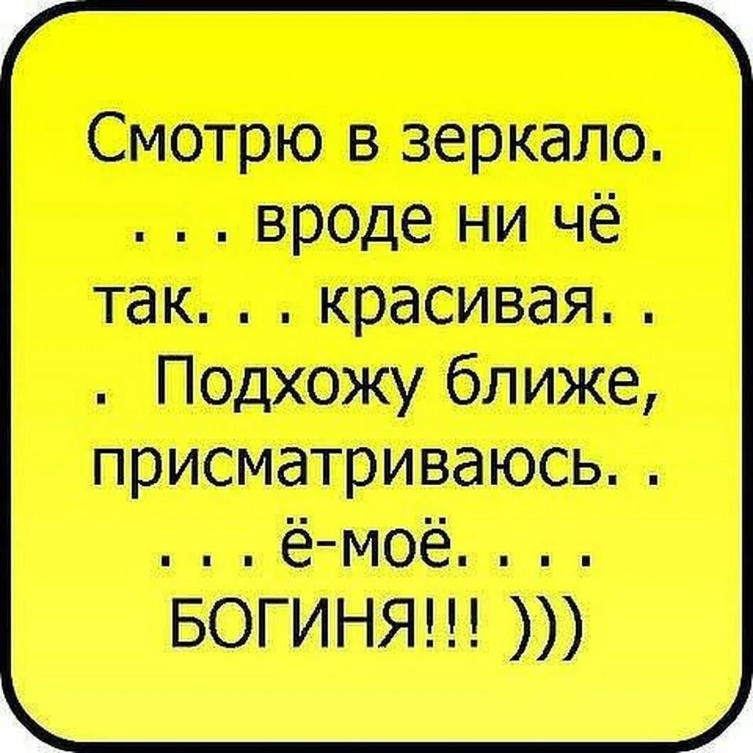 Прикольные фразочки. Смешные цитаты. Смешные фразы. Смешные высказывания. Мемные фразы.