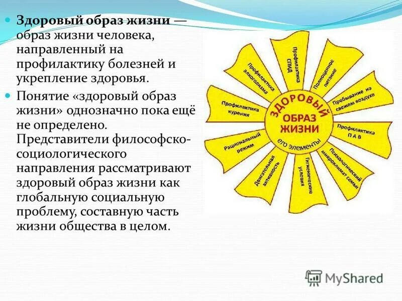 Образа жизни связанного с. Концепция здорового образа жизни. Профилактика ЗОЖ презентация. Основные направления здорового образа жизни. Основы профилактики здорового образа жизни.